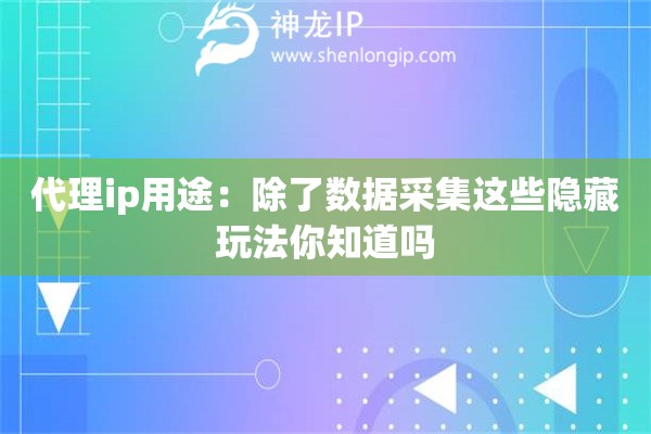 代理ip用途：除了数据采集这些隐藏玩法你知道吗