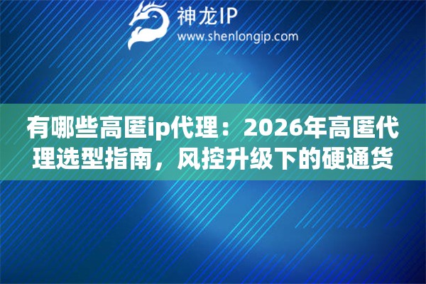有哪些高匿ip代理:2026年高匿代理选型指南,风控升级下的硬通货 有哪些高匿ip代理:2026年高匿代理选型指南,风控升级下的硬通货