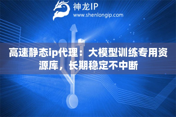 高速静态ip代理：大模型训练专用资源库，长期稳定不中断