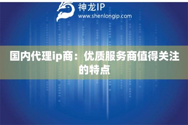 国内代理ip商：优质服务商值得关注的特点