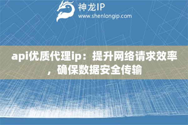 api优质代理ip：提升网络请求效率，确保数据安全传输