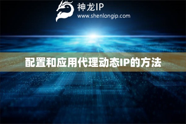配置和应用代理动态IP的方法