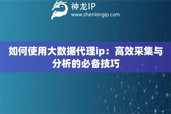 如何使用大数据代理ip：高效采集与分析的必备技巧