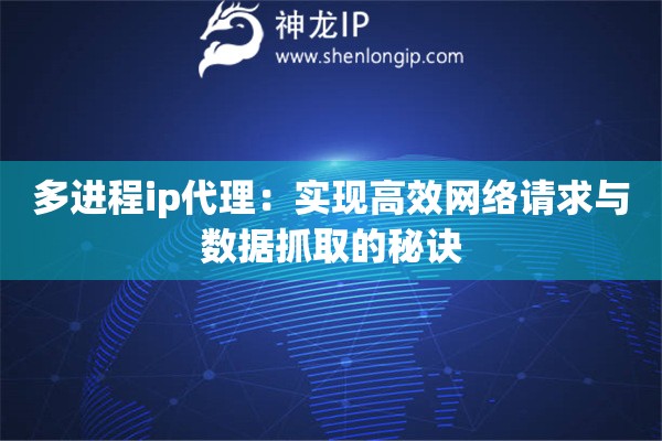 多进程ip代理：实现高效网络请求与数据抓取的秘诀