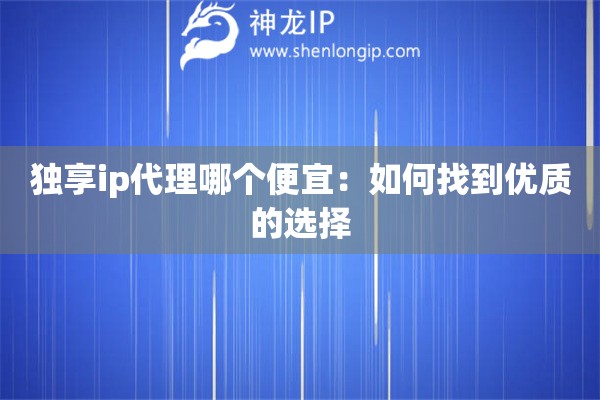 独享ip代理哪个便宜：如何找到优质的选择