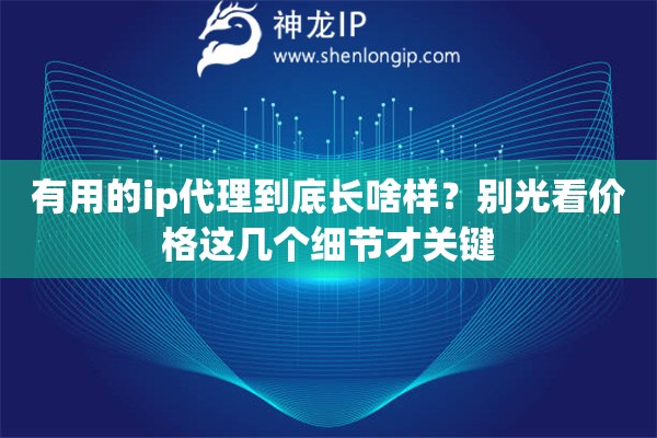 有用的ip代理到底长啥样?别光看价格这几个细节才关键 有用的ip代理到底长啥样?别光看价格这几个细节才关键
