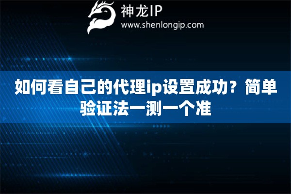 如何看自己的代理ip设置成功？简单验证法一测一个准