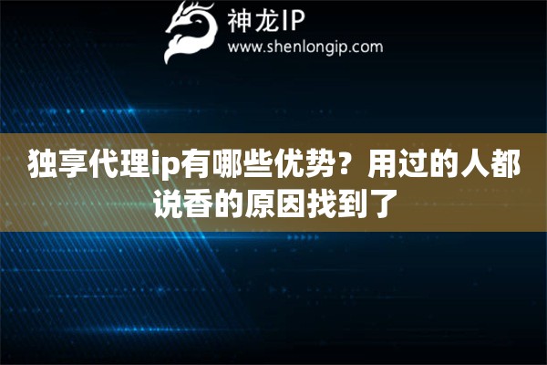独享代理ip有哪些优势？用过的人都说香的原因找到了