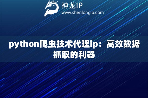 python爬虫技术代理ip：高效数据抓取的利器
