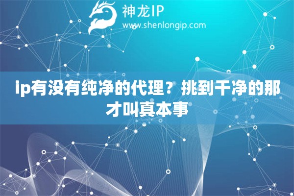 ip有没有纯净的代理?挑到干净的那才叫真本事 ip有没有纯净的代理?挑到干净的那才叫真本事