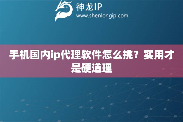 手机国内ip代理软件怎么挑？实用才是硬道理