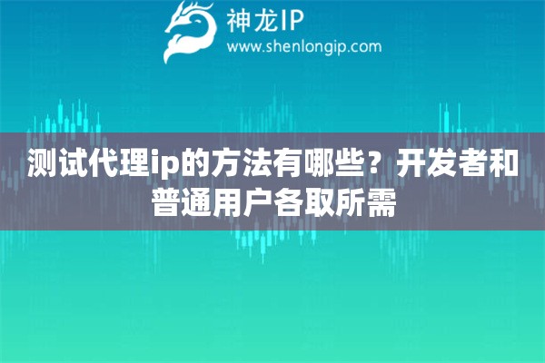 测试代理ip的方法有哪些？开发者和普通用户各取所需