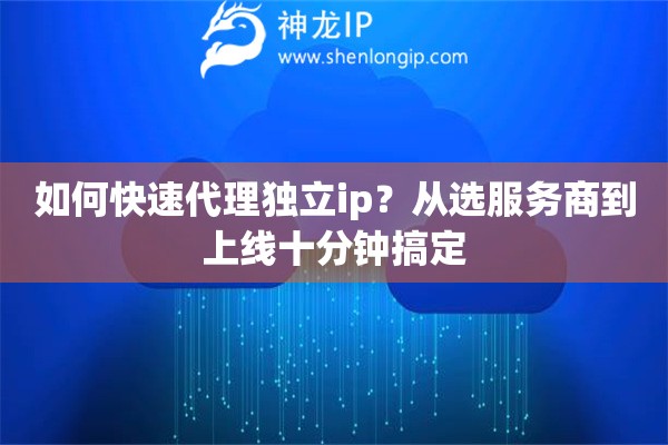 如何快速代理独立ip?从选服务商到上线十分钟搞定 如何快速代理独立ip?从选服务商到上线十分钟搞定