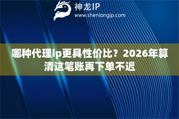 哪种代理ip更具性价比？2026年算清这笔账再下单不迟
