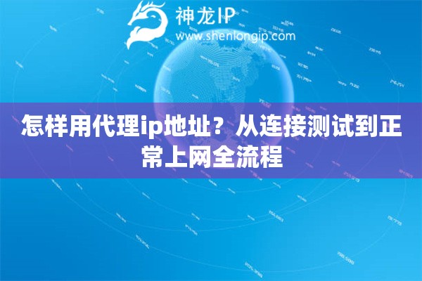 怎样用代理ip地址？从连接测试到正常上网全流程
