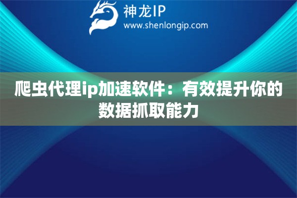 爬虫代理ip加速软件：有效提升你的数据抓取能力