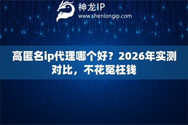 高匿名ip代理哪个好？2026年实测对比，不花冤枉钱