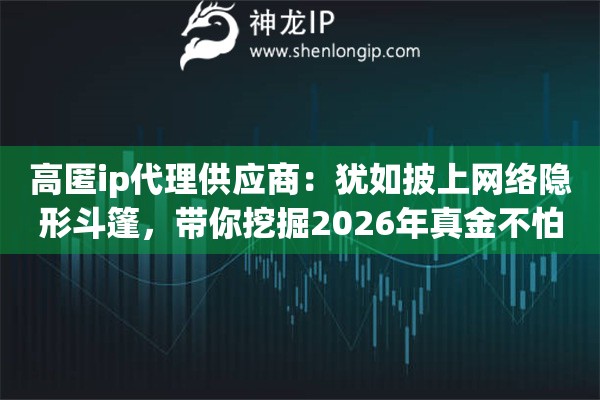 高匿ip代理供应商:犹如披上网络隐形斗篷,带你挖掘2026年真金不怕火炼的实力大厂 高匿ip代理供应商:犹如披上网络隐形斗篷,带你挖掘2026年真金不怕火炼的实力大厂