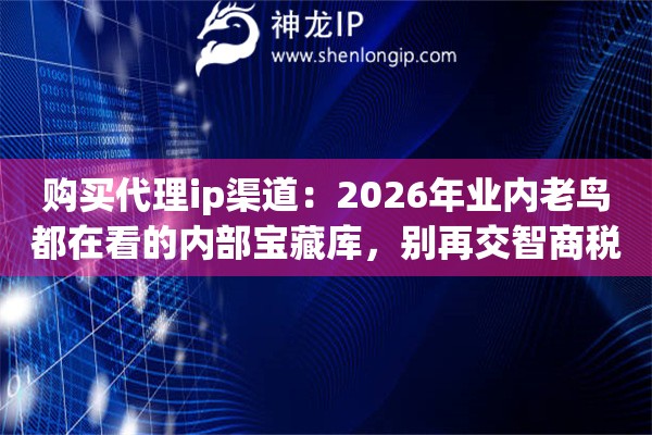 购买代理ip渠道：2026年业内老鸟都在看的内部宝藏库，别再交智商税啦
