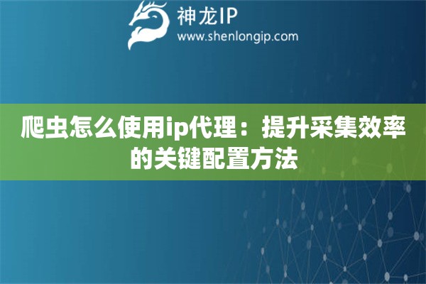 爬虫怎么使用ip代理：提升采集效率的关键配置方法