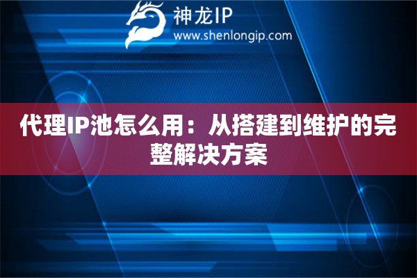代理IP池怎么用：从搭建到维护的完整解决方案
