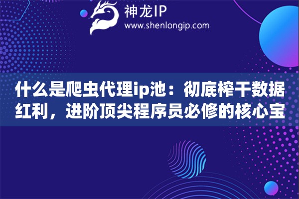 什么是爬虫代理ip池：彻底榨干数据红利，进阶顶尖程序员必修的核心宝典