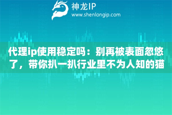 代理ip使用稳定吗:别再被表面忽悠了,带你扒一扒行业里不为人知的猫腻 代理ip使用稳定吗:别再被表面忽悠了,带你扒一扒行业里不为人知的猫腻