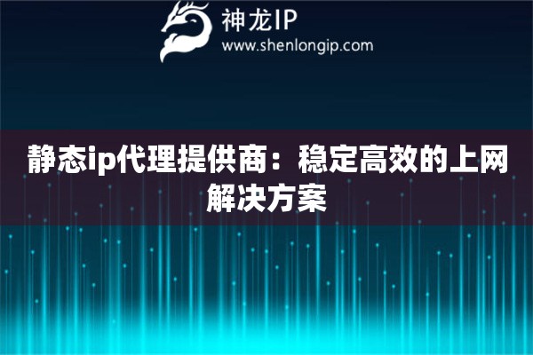 静态ip代理提供商：稳定高效的上网解决方案