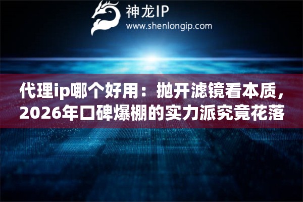 代理ip哪个好用：抛开滤镜看本质，2026年口碑爆棚的实力派究竟花落谁家