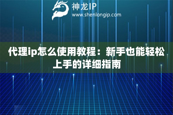代理ip怎么使用教程：新手也能轻松上手的详细指南