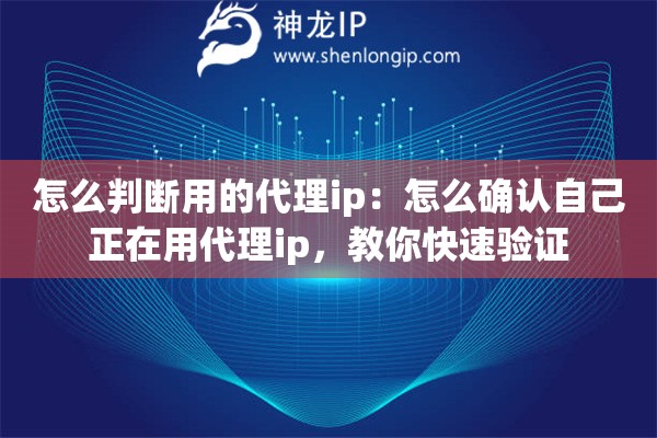 怎么判断用的代理ip：怎么确认自己正在用代理ip，教你快速验证
