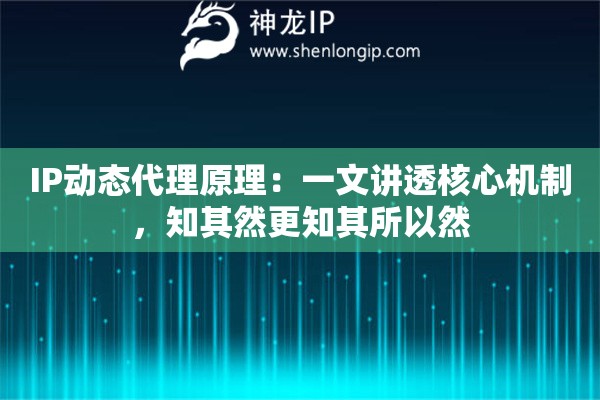 IP动态代理原理：一文讲透核心机制，知其然更知其所以然