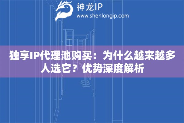 独享IP代理池购买：为什么越来越多人选它？优势深度解析