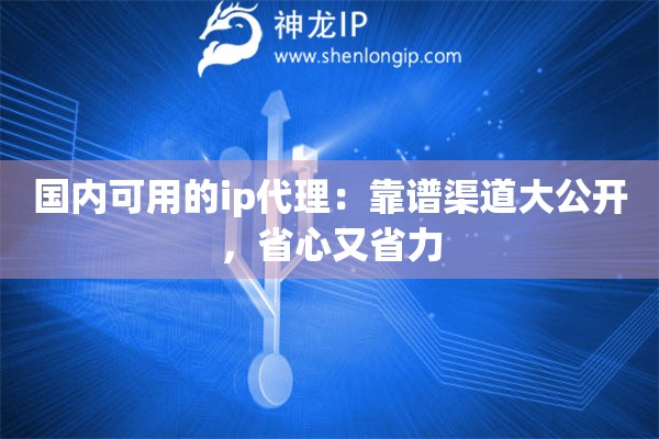 国内可用的ip代理:靠谱渠道大公开,省心又省力 国内可用的ip代理:靠谱渠道大公开,省心又省力