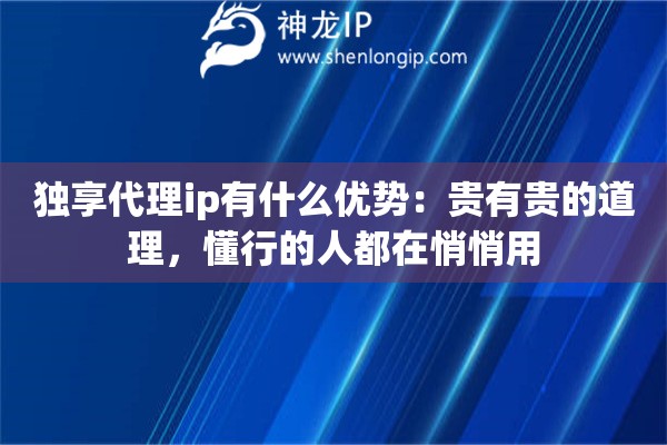 独享代理ip有什么优势：贵有贵的道理，懂行的人都在悄悄用