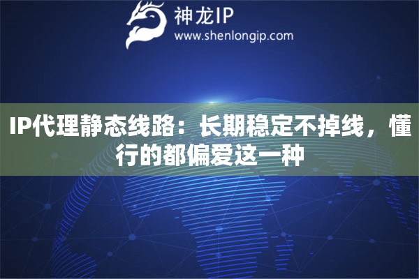 IP代理静态线路：长期稳定不掉线，懂行的都偏爱这一种