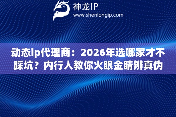 动态ip代理商：2026年选哪家才不踩坑？内行人教你火眼金睛辨真伪