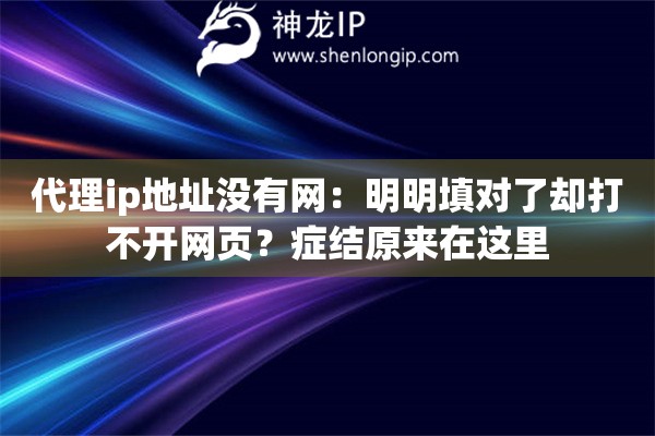代理ip地址没有网:明明填对了却打不开网页?症结原来在这里 代理ip地址没有网:明明填对了却打不开网页?症结原来在这里