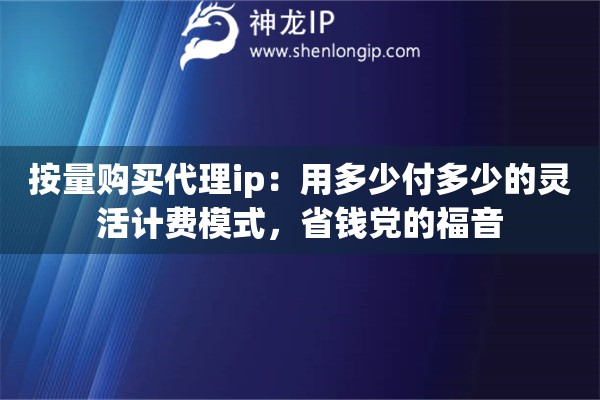 按量购买代理ip：用多少付多少的灵活计费模式，省钱党的福音