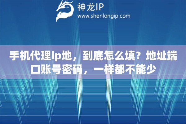 手机代理ip地，到底怎么填？地址端口账号密码，一样都不能少