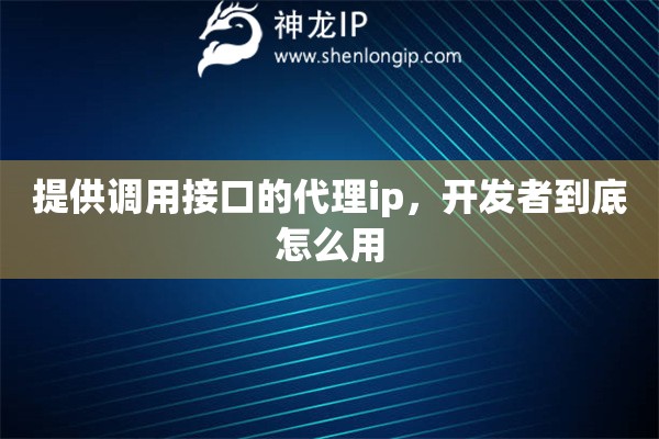 提供调用接口的代理ip，开发者到底怎么用
