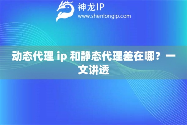 动态代理 ip 和静态代理差在哪？一文讲透