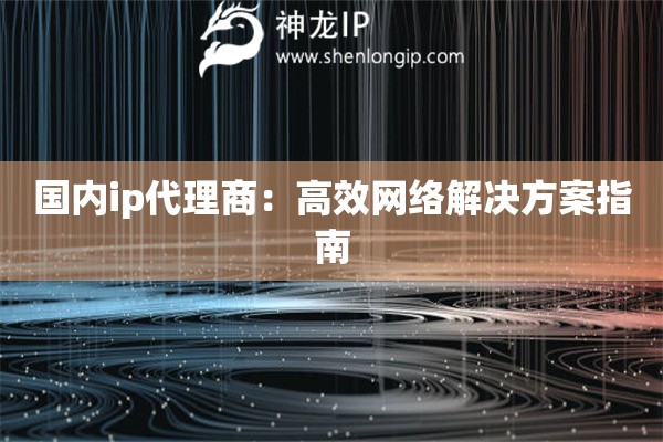 国内ip代理商：高效网络解决方案指南