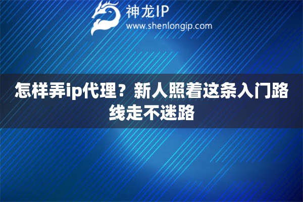 怎样弄ip代理？新人照着这条入门路线走不迷路