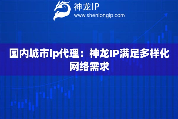 国内城市ip代理：神龙IP满足多样化网络需求