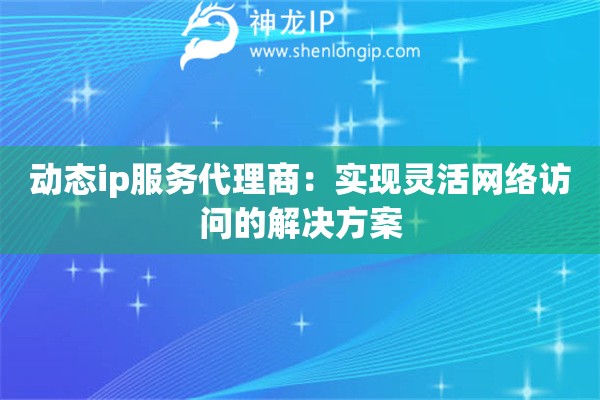 动态ip服务代理商：实现灵活网络访问的解决方案