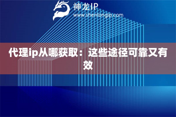 代理ip从哪获取：这些途径可靠又有效