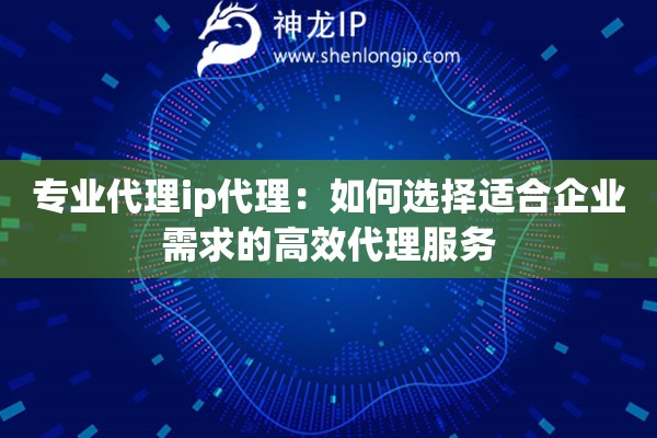 专业代理ip代理：如何选择适合企业需求的高效代理服务
