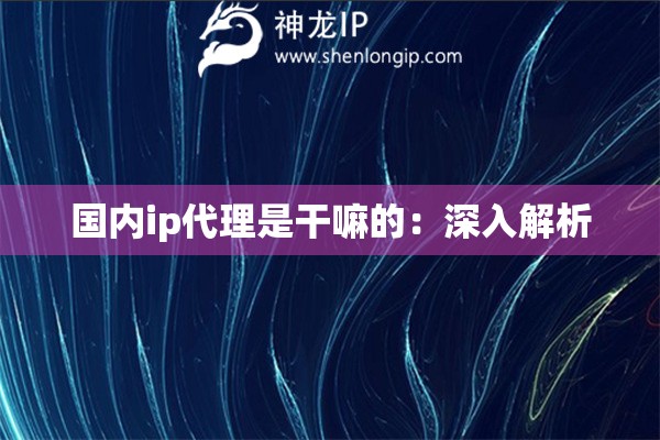 国内ip代理是干嘛的：深入解析