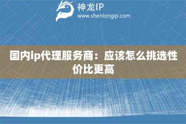 国内ip代理服务商：应该怎么挑选性价比更高